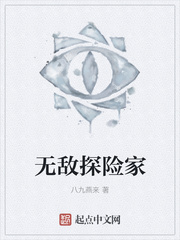 无敌探险家-八九燕来-文学资料